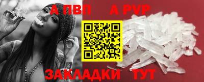 гашик Кингисепп