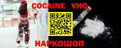 гашик Кингисепп