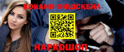 гашик Кингисепп