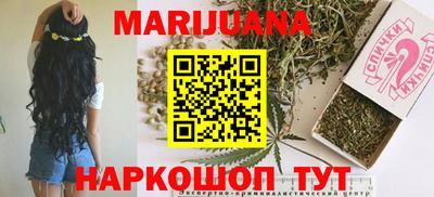 гашик Кингисепп