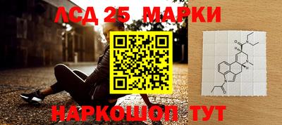 гашик Кингисепп