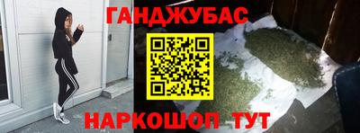 гашик Кингисепп