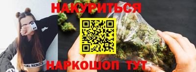 гашик Кингисепп