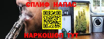 эйфоретик Кимры