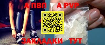 гашик Кингисепп