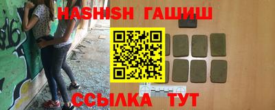 гашик Кингисепп