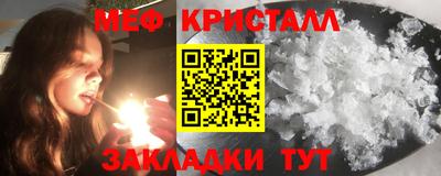 гашик Кингисепп