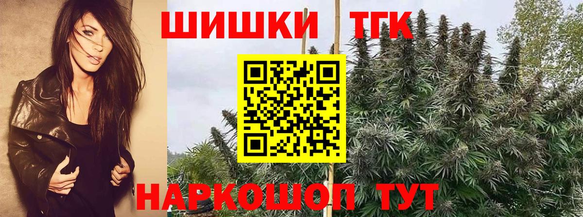 ГАШ Ливны